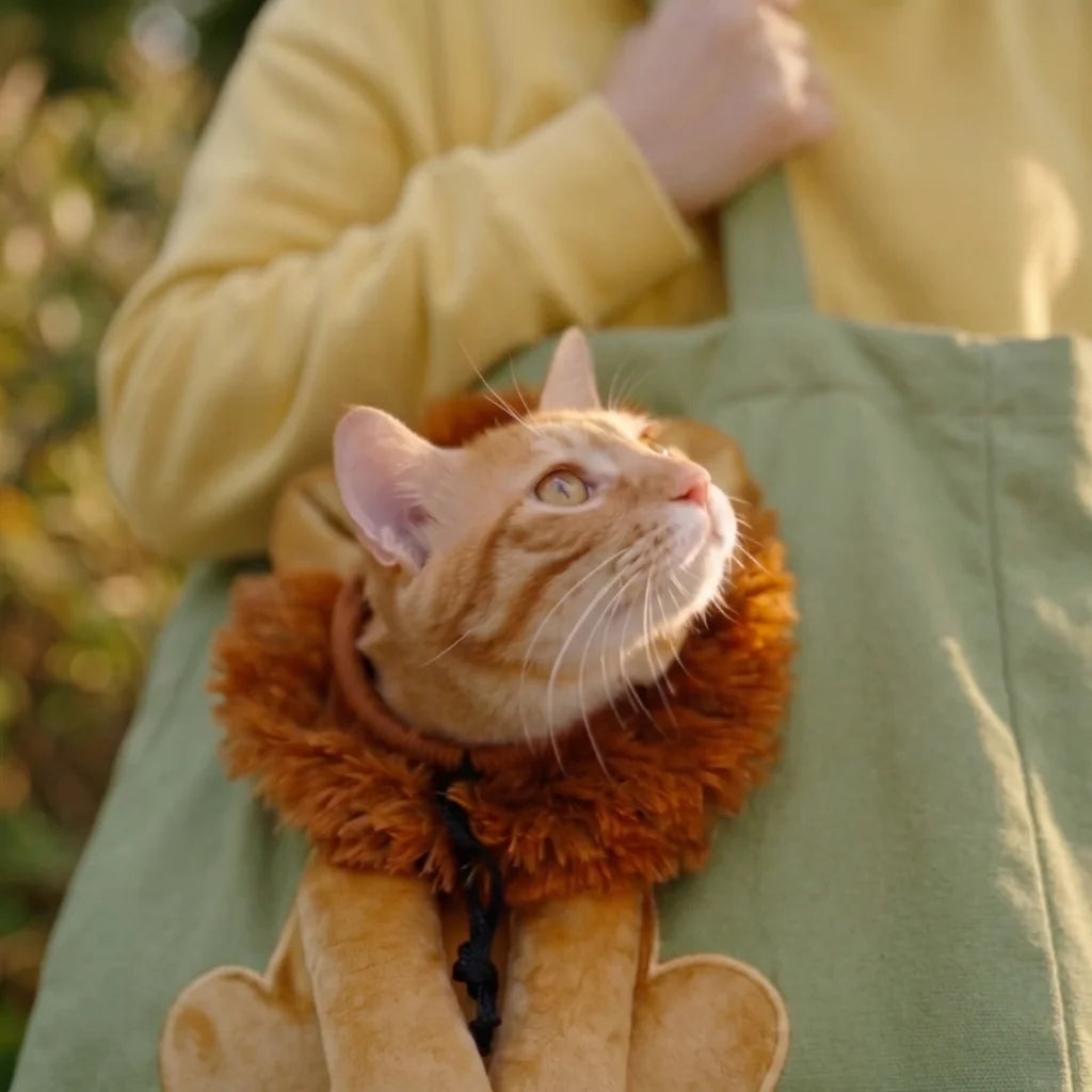 Lion Pop-Out Cat Carrier Tote Bag