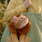 Lion Pop-Out Cat Carrier Tote Bag