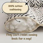 A close-up of a plush cushion with a black-and-white zebra-patterned fabric cover and thick white cotton filling, overlaid with text reading '100% cotton cushioning' and 'They can't resist coming back for a nap!'.