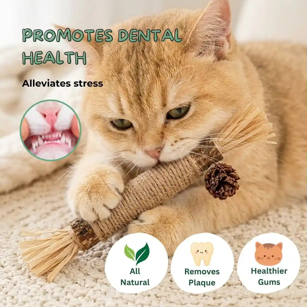 Natural Cat Teething Chew Toy