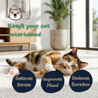 Natural Cat Teething Chew Toy