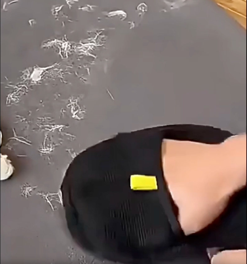Pet fur removal glove demonstration video.