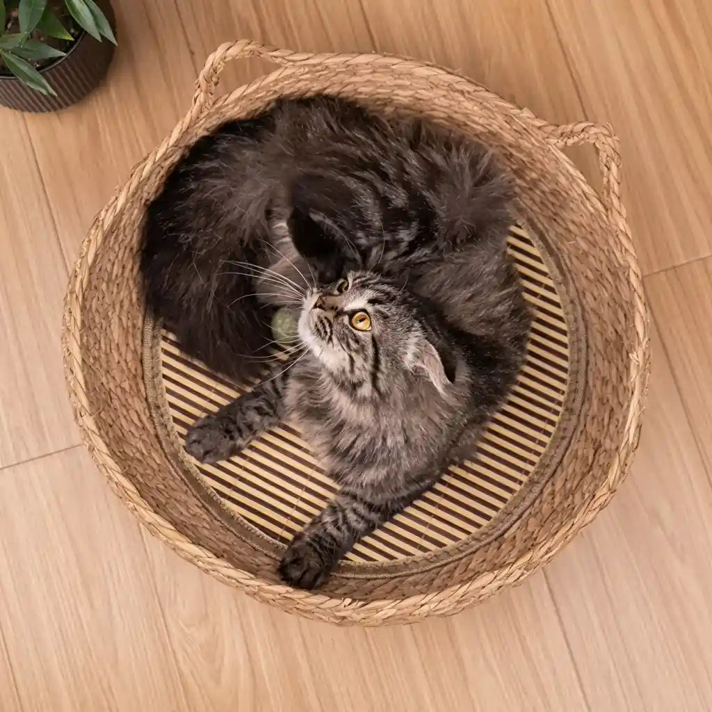 Handwoven Straw Cat Bed