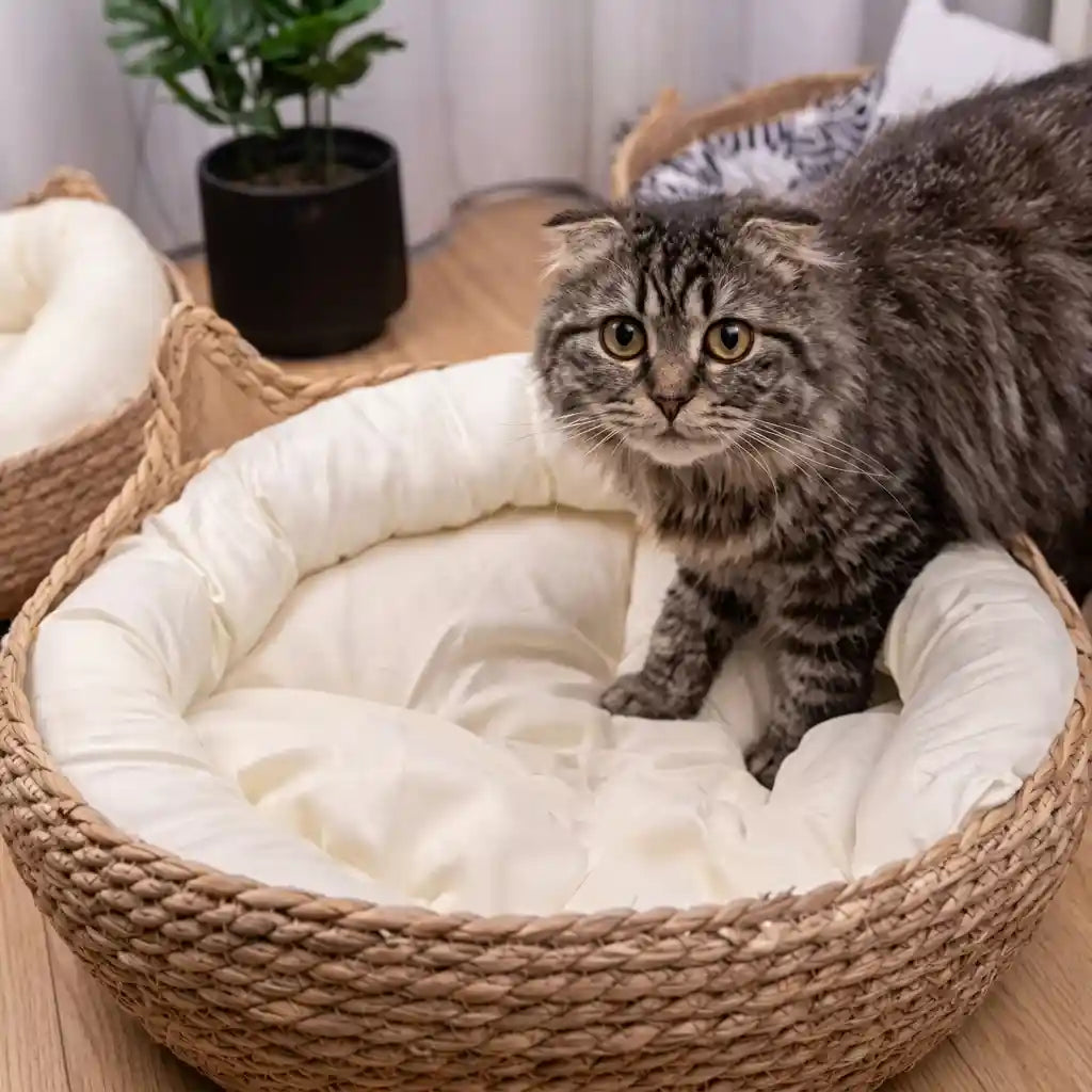 Handwoven Straw Cat Bed