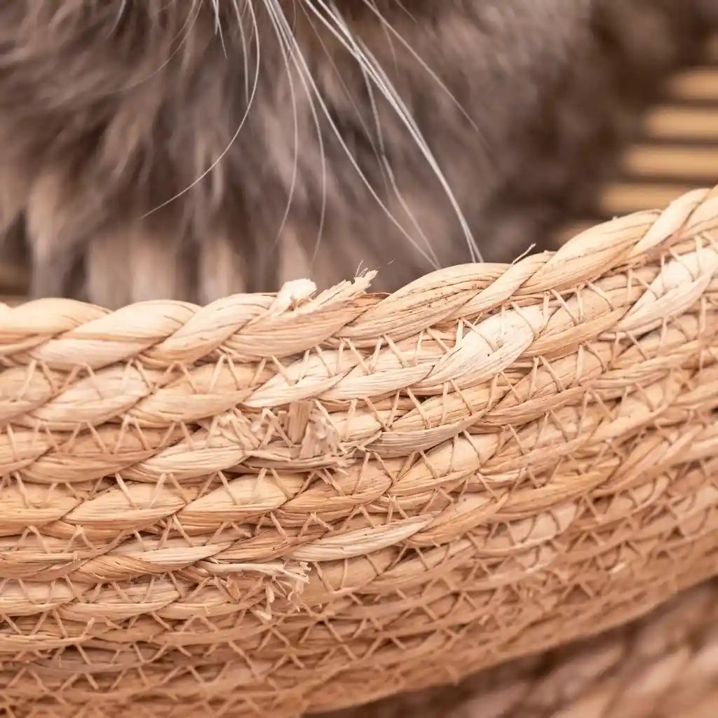 Handwoven Straw Cat Bed
